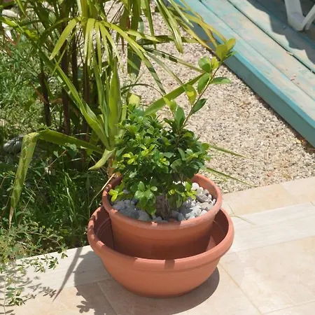 Venus Aegean View Apartmán Kalithies